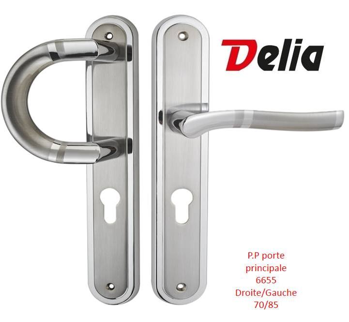 riv porte principal 6655/85