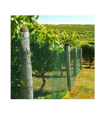 grillage plastique maille 15 - vert